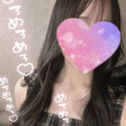 ヒメ日記 2025/09/06 11:29 投稿 くるみ やんちゃな子猫日本橋本店