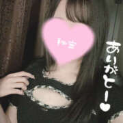 ヒメ日記 2025/09/09 12:47 投稿 くるみ やんちゃな子猫日本橋本店