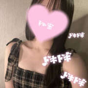 ヒメ日記 2025/09/12 14:36 投稿 くるみ やんちゃな子猫日本橋本店