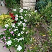 ヒメ日記 2025/08/31 17:27 投稿 麻生 変態美熟女お貸しします。