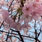 ヒメ日記 2026/03/13 08:55 投稿 麻生 変態美熟女お貸しします。