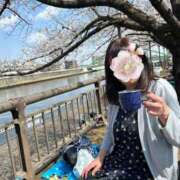 ヒメ日記 2026/03/31 08:54 投稿 麻生 変態美熟女お貸しします。