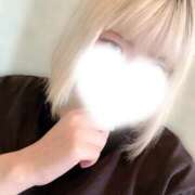 ヒメ日記 2025/06/23 12:27 投稿 まい やんちゃな子猫日本橋本店