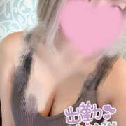 ヒメ日記 2025/07/14 10:53 投稿 まい やんちゃな子猫日本橋本店