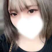 まい こんにちは！ やんちゃな子猫日本橋本店