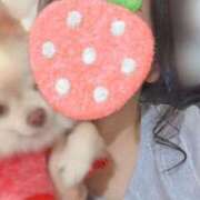 ヒメ日記 2025/08/19 18:42 投稿 えな　奥様 SUTEKIな奥様は好きですか?