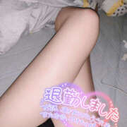 ヒメ日記 2025/12/20 03:29 投稿 れいか やんちゃな子猫日本橋本店