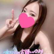 ヒメ日記 2025/12/22 17:59 投稿 れいか やんちゃな子猫日本橋本店