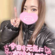 ヒメ日記 2026/01/03 20:12 投稿 れいか やんちゃな子猫日本橋本店