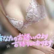 ヒメ日記 2026/01/05 18:02 投稿 れいか やんちゃな子猫日本橋本店