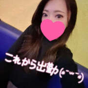 ヒメ日記 2026/01/18 17:20 投稿 れいか やんちゃな子猫日本橋本店