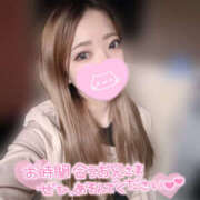 ヒメ日記 2026/01/19 18:06 投稿 れいか やんちゃな子猫日本橋本店