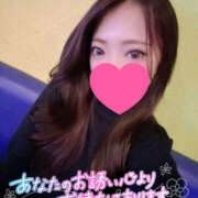 ヒメ日記 2026/01/22 17:34 投稿 れいか やんちゃな子猫日本橋本店