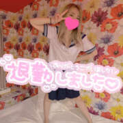 ヒメ日記 2026/01/24 04:38 投稿 れいか やんちゃな子猫日本橋本店