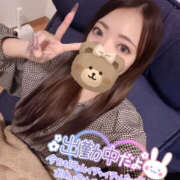 ヒメ日記 2026/01/31 17:04 投稿 れいか やんちゃな子猫日本橋本店