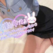 ヒメ日記 2026/02/01 18:04 投稿 れいか やんちゃな子猫日本橋本店