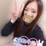 ヒメ日記 2026/02/08 17:54 投稿 れいか やんちゃな子猫日本橋本店