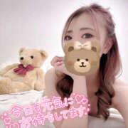 ヒメ日記 2026/02/12 16:52 投稿 れいか やんちゃな子猫日本橋本店