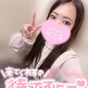 ヒメ日記 2026/02/18 20:07 投稿 れいか やんちゃな子猫日本橋本店