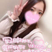 ヒメ日記 2026/03/01 17:33 投稿 れいか やんちゃな子猫日本橋本店