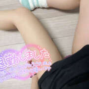 ヒメ日記 2026/04/03 03:39 投稿 れいか やんちゃな子猫日本橋本店