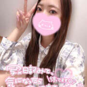 ヒメ日記 2026/04/06 18:04 投稿 れいか やんちゃな子猫日本橋本店