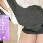 ヒメ日記 2026/04/19 06:23 投稿 れいか やんちゃな子猫日本橋本店