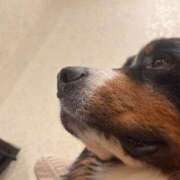 ヒメ日記 2025/07/31 11:08 投稿 さな バニーオンデマンド