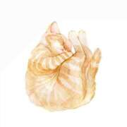 ヒメ日記 2025/07/07 12:07 投稿 れな お姉さんSelect