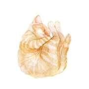 ヒメ日記 2025/08/17 08:46 投稿 れな お姉さんSelect