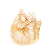 ヒメ日記 2025/09/04 10:56 投稿 れな お姉さんSelect