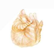 ヒメ日記 2025/10/21 07:46 投稿 れな お姉さんSelect