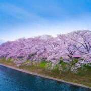 ヒメ日記 2026/03/09 18:26 投稿 早瀬『人妻コース』 佐賀デリヘル358