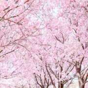 ヒメ日記 2026/03/14 13:45 投稿 早瀬『人妻コース』 佐賀デリヘル358