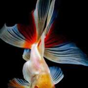 ヒメ日記 2026/04/05 08:32 投稿 早瀬『人妻コース』 佐賀デリヘル358