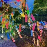 ヒメ日記 2025/07/08 08:08 投稿 ひより エレガンス(広島)