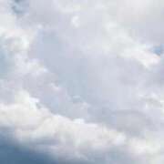 ヒメ日記 2025/07/09 09:50 投稿 ひより エレガンス(広島)