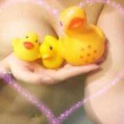 ヒメ日記 2025/07/11 17:38 投稿 のあ エレガンス(広島)