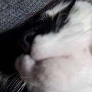 ヒメ日記 2025/06/25 07:17 投稿 泉（いずみ） 不倫快感