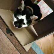 ヒメ日記 2025/08/10 22:07 投稿 泉（いずみ） 不倫快感