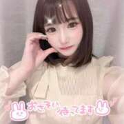 サクラコ 初めまして🎀 きらめけ！にゃんにゃん学園in大宮