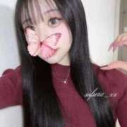 そふぃあ 本日空き枠 びくびくサークル五反田店