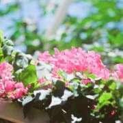 ヒメ日記 2026/03/26 12:07 投稿 えりか CLUB DEEP