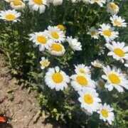 ヒメ日記 2026/04/21 10:34 投稿 えりか CLUB DEEP