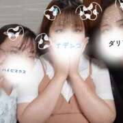 ヒメ日記 2025/07/28 16:09 投稿 ダリア 飾窓