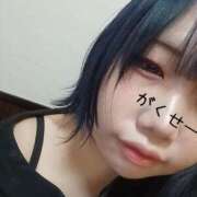 ヒメ日記 2025/09/04 14:49 投稿 ダリア 飾窓