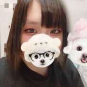 ヒメ日記 2025/10/07 18:34 投稿 ダリア 飾窓