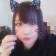 ヒメ日記 2025/10/17 13:23 投稿 ダリア 飾窓