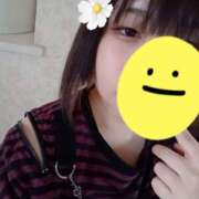 ヒメ日記 2025/10/22 12:23 投稿 ダリア 飾窓