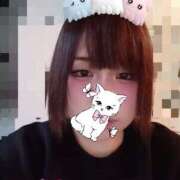 ヒメ日記 2025/10/27 16:27 投稿 ダリア 飾窓